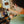 Laden Sie das Bild in den Galerie-Viewer, Seminar: Home Barista Basic