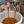 Laden Sie das Bild in den Galerie-Viewer, Seminar: Home Barista Basic