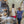 Laden Sie das Bild in den Galerie-Viewer, Schokolade / Latitude Craft Chocolate - Jinja 64%