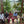Laden Sie das Bild in den Galerie-Viewer, Seminar: Direct Trade