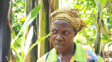Petition zum Schutz der ugandischen Kaffeebauern und- Bäuerinnen vor dem ausbeuterischen UVCC-Monopol