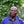 Laden Sie das Bild in den Galerie-Viewer, Natural Single Filter
