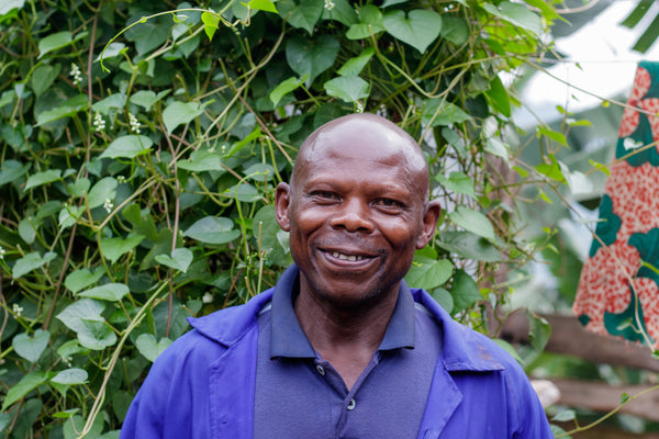 Natural Single Filter