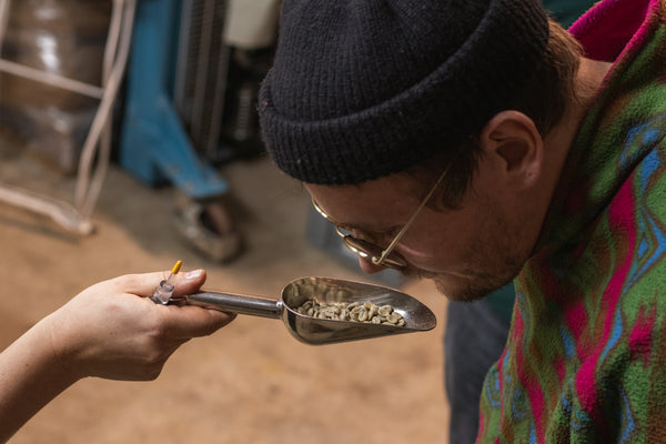 Röstworkshop: Entwickle deinen eigenen Kaffee