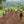 Laden Sie das Bild in den Galerie-Viewer, Masaba Blend Espresso Hell

