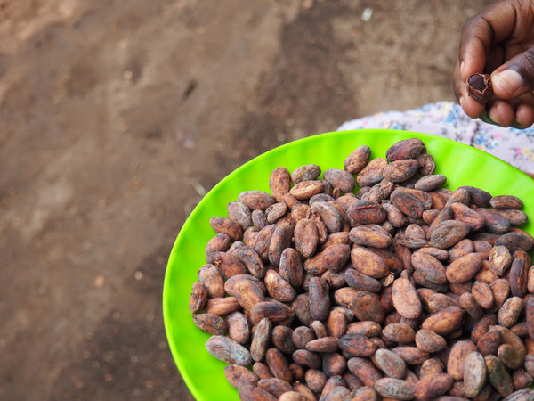 Mulembe Kakao, ganze Bohne karamellisiert, in handgestempelten 50g-Tüten